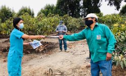 CHINECAS BRINDA CHARLA PREVENTIVA SOBRE EL CORONAVIRUS A SUS TRABAJADORES DE CAMPO