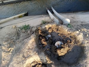 rrtn4417101871_24-09-20