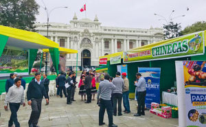 congreso-lima-01373332_13-06-19 (1)