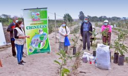 CHINECAS INICIA ASESORAMIENTO TECNICO A PEQUEÑOS AGRICULTORES EN TANGAY BAJO