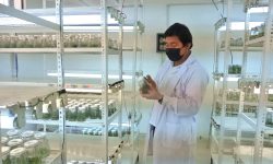 ESPECIALISTA DEL P.E. CHINECAS VISITA LABORATORIO DE BIOTECNOLOGIA DE CHAVIMOCHIC