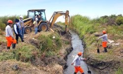 Chinecas ejecuta mantenimiento de dren La Aguada para evitar inundación de cultivos