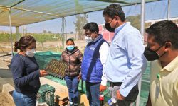 GERENTE DEL GOBIERNO REGIONAL RESALTA TRABAJO DE LABORATORIO DE BIOTECNOLOGÍA Y VIVERO FRUTÍCOLA FORESTAL DE CHINECAS