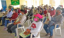 𝗖𝗛𝗜𝗡𝗘𝗖𝗔𝗦 𝗖𝗔𝗣𝗔𝗖𝗜𝗧𝗔 𝗔 𝗠𝗔́𝗦 𝗗𝗘 𝗨𝗡 𝗖𝗘𝗡𝗧𝗘𝗡𝗔𝗥 𝗗𝗘 𝗔𝗚𝗥𝗜𝗖𝗨𝗟𝗧𝗢𝗥𝗘𝗦 𝗘𝗡 𝗖𝗨𝗟𝗧𝗜𝗩𝗢 𝗗𝗘 𝗣𝗜𝗧𝗔𝗛𝗔𝗬𝗔 𝗜𝗡 𝗩𝗜𝗧𝗥𝗢