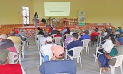 CHINECAS INICIA CAPACITACIONES A AGRICULTORES EN EL CULTIVO DE PITAHAYAS