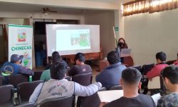 𝗖𝗮𝗽𝗮𝗰𝗶𝘁𝗮𝗺𝗼𝘀 𝗮 𝗳𝘂𝘁𝘂𝗿𝗼𝘀 𝘁𝗲́𝗰𝗻𝗶𝗰𝗼𝘀 𝗮𝗴𝗿𝗼𝗽𝗲𝗰𝘂𝗮𝗿𝗶𝗼𝘀 𝗲𝗻 𝗲𝗹 𝗰𝘂𝗹𝘁𝗶𝘃𝗼 𝗱𝗲 𝗽𝗶𝘁𝗮𝗵𝗮𝘆𝗮