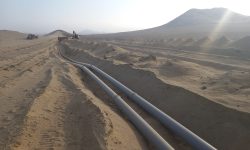 ¡FRENAMOS INTENTO DE INVASIÓN DE MÁS DE 200 HECTÁREAS EN LA CARBONERA!