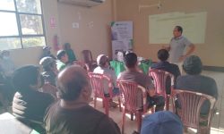 CAPACITAN A PERSONAL DE CAMPO DE CHINECAS EN MEJORA DE LA PRODUCTIVIDAD AGRÍCOLA