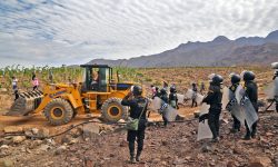 ACTUAL GESTIÓN DE CHINECAS HA RECUPERADO 2 953 HECTÁREAS DE TIERRAS INVADIDAS