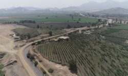 𝗚𝗘𝗥𝗘𝗡𝗧𝗘 𝗗𝗘 𝗖𝗛𝗜𝗡𝗘𝗖𝗔𝗦 𝗟𝗢𝗚𝗥𝗔 𝗡𝗨𝗘𝗩𝗢 𝗣𝗟𝗔𝗭𝗢 𝗣𝗔𝗥𝗔 𝗜𝗡𝗦𝗣𝗘𝗖𝗖𝗜𝗢𝗡𝗘𝗦 𝗢𝗖𝗨𝗟𝗔𝗥𝗘𝗦 𝗘𝗡 𝗧𝗘𝗥𝗥𝗘𝗡𝗢𝗦 𝗤𝗨𝗘 𝗦𝗘 𝗘𝗡𝗖𝗨𝗘𝗡𝗧𝗥𝗔𝗡 𝗣𝗘𝗡𝗗𝗜𝗘𝗡𝗧𝗘𝗦 𝗗𝗘 𝗔𝗗𝗝𝗨𝗗𝗜𝗖𝗔𝗖𝗜𝗢́𝗡 𝗘𝗡 𝗩𝗘𝗡𝗧𝗔 𝗗𝗘 𝗧𝗜𝗘𝗥𝗥𝗔𝗦