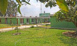 CUMPLIMOS CON REGISTRAR Y PUBLICAR ORDENES Y SERVICIOS EN EL SEACE