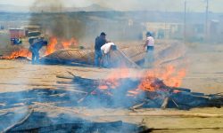 CHINECAS DESALOJA DOS NUEVAS INVASIONES ESTA VEZ CERCA DE LAS 308 HECTÁREAS