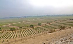 CHINECAS CLARA QUE ES DUEÑO DE SUS TERRENOS Y QUE ESTOS SON SOLO PARA USO AGRÍCOLA