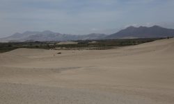 CHINECAS IMPULSA TRES OBRAS PARA POTENCIAR AGRICULTURA EN CASMA