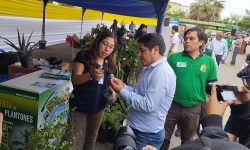 PROYECTO ESPECIAL CHINECAS EXPONE Y VENDE SU PRODUCCIÓN AGRICOLA EN FERIA DE AGROPECUARIA DE NUEVO CHIMBOTE
