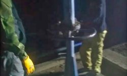 𝗣𝗘𝗥𝗦𝗢𝗡𝗔𝗟 𝗗𝗘 𝗖𝗛𝗜𝗡𝗘𝗖𝗔𝗦 𝗥𝗘𝗖𝗢𝗥𝗥𝗘 𝗠𝗔́𝗦 𝗗𝗘 𝟰𝟬 𝗞𝗠. 𝗗𝗘𝗦𝗔𝗖𝗧𝗜𝗩𝗔𝗡𝗗𝗢 𝗦𝗜𝗙𝗢𝗡𝗘𝗦 𝗖𝗟𝗔𝗡𝗗𝗘𝗦𝗧𝗜𝗡𝗢𝗦