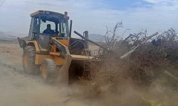 𝗖𝗛𝗜𝗡𝗘𝗖𝗔𝗦 𝗗𝗘𝗦𝗔𝗟𝗢𝗝𝗔 𝗔 𝗜𝗡𝗩𝗔𝗦𝗢𝗥 𝗬 𝗥𝗘𝗖𝗨𝗣𝗘𝗥𝗔  𝟯𝟬 𝗛𝗘𝗖𝗧𝗔́𝗥𝗘𝗔𝗦 𝗘𝗡 𝗟𝗔 𝗖𝗔𝗥𝗕𝗢𝗡𝗘𝗥𝗔