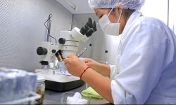 𝗖𝗛𝗜𝗡𝗘𝗖𝗔𝗦 𝗬 𝗨𝗡𝗜𝗩𝗘𝗥𝗦𝗜𝗗𝗔𝗗 𝗔𝗚𝗥𝗔𝗥𝗜𝗔 𝗟𝗔 𝗠𝗢𝗟𝗜𝗡𝗔 𝗕𝗨𝗦𝗖𝗔𝗡 𝗖𝗢𝗡𝗦𝗢𝗟𝗜𝗗𝗔𝗥 𝗠𝗘𝗝𝗢𝗥𝗔𝗦 𝗣𝗔𝗥𝗔 𝗘𝗟 𝗗𝗘𝗦𝗔𝗥𝗥𝗢𝗟𝗟𝗢 𝗔𝗚𝗥𝗜́𝗖𝗢𝗟𝗔