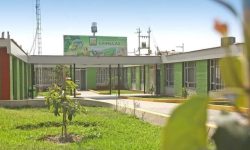 𝗖𝗛𝗜𝗡𝗘𝗖𝗔𝗦 𝗧𝗥𝗔𝗠𝗜𝗧𝗢́ 𝟳𝟮 𝗘𝗫𝗣𝗘𝗗𝗜𝗘𝗡𝗧𝗘𝗦 𝗗𝗘 𝗔𝗖𝗖𝗘𝗦𝗢 𝗔 𝗟𝗔 𝗜𝗡𝗙𝗢𝗥𝗠𝗔𝗖𝗜𝗢́𝗡 𝗗𝗘𝗦𝗗𝗘 𝗔𝗚𝗢𝗦𝗧𝗢 𝗔 𝗟𝗔 𝗙𝗘𝗖𝗛𝗔