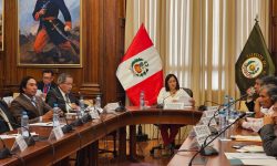 𝗚𝗘𝗥𝗘𝗡𝗧𝗘 𝗗𝗘 𝗖𝗛𝗜𝗡𝗘𝗖𝗔𝗦 𝗘𝗫𝗣𝗨𝗦𝗢 𝗘𝗡 𝗦𝗘𝗚𝗨𝗡𝗗𝗔 𝗦𝗘𝗦𝗜𝗢́𝗡 𝗠𝗨𝗟𝗧𝗜𝗣𝗔𝗥𝗧𝗜𝗗𝗔𝗥𝗜𝗔 𝗘𝗡 𝗙𝗔𝗩𝗢𝗥 𝗗𝗘𝗟 𝗣𝗥𝗢𝗬𝗘𝗖𝗧𝗢 𝗜𝗥𝗥𝗜𝗚𝗔𝗗𝗢𝗥