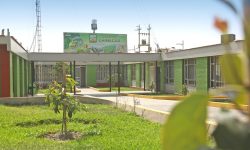 𝗖𝗢𝗡𝗦𝗘𝗝𝗢 𝗗𝗜𝗥𝗘𝗖𝗧𝗜𝗩𝗢 𝗗𝗘 𝗖𝗛𝗜𝗡𝗘𝗖𝗔𝗦 𝗔𝗣𝗥𝗨𝗘𝗕𝗔 𝗟𝗢𝗦 𝗧𝗗𝗥  𝗣𝗔𝗥𝗔 𝗘𝗟𝗘𝗖𝗖𝗜𝗢́𝗡 𝗗𝗘𝗟 𝗡𝗨𝗘𝗩𝗢 𝗚𝗘𝗥𝗘𝗡𝗧𝗘 𝗚𝗘𝗡𝗘𝗥𝗔𝗟