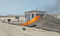 𝗖𝗛𝗜𝗡𝗘𝗖𝗔𝗦 𝗗𝗘𝗦𝗧𝗥𝗨𝗬𝗘 𝗠𝗔́𝗦 𝗗𝗘 𝗗𝗢𝗦 𝗛𝗔𝗦 𝗗𝗘 𝗖𝗨𝗟𝗧𝗜𝗩𝗢𝗦  𝗗𝗘 𝗣𝗜𝗧𝗔𝗛𝗔𝗬𝗔 𝗘𝗡 𝗭𝗢𝗡𝗔 𝗜𝗡𝗩𝗔𝗗𝗜𝗗𝗔 𝗗𝗘 𝗖𝗔𝗦𝗠𝗔