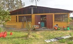 𝗖𝗛𝗜𝗡𝗘𝗖𝗔𝗦 𝗥𝗘𝗔𝗖𝗧𝗜𝗩𝗔 𝗦𝗨 𝗚𝗥𝗔𝗡𝗝𝗔 𝗗𝗘 𝗖𝗨𝗬𝗘𝗦