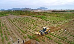 SEGUIREMOS FIRMES EN LA LABOR DE RECUPERACIÓN DE TERRENOS DE CHINECAS