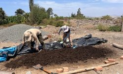 PROYECTO ESPECIAL CHINECAS CAPACITA A LOS PRODUCTORES AGRARIOS A TRAVES DE LA ASISTENCIA TÉCNICA Y TRANSFERENCIA DE TECNOLOGÍA