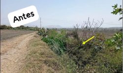 EL P.E. CHINECAS ATENDIÓ LLAMADO DE AGRICULTORES, JUNTA DE USUARIOS SANTA, DEL SECTOR LA MORA (CINCO ESQUINAS) Y CULMINÓ DESCOLMATACIÓN EN DREN