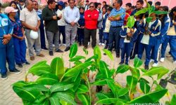 ALUMNOS DE LA INSTITUCIÓN EDUCATIVA 88218, TANGAY MEDIO ADOPTAN PLANTAS FRUTALES