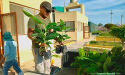 ¡El P. E. CHINECAS PROVEE AL AGRO CON INNNOVACIÓN Y CAPACITACIÓN!