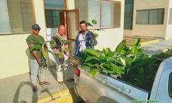 P.E. CHINECAS ORGANIZA E INVITA A LA PRIMERA FERIA DE EXPOSICIÓN DE TECNOLOGÍAS PARA LA AGRICULTURA