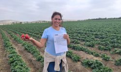 GALERÍA DE IMÁGENES DE NUESTRO TRABAJO DE CAMPO REALIZADO HOY CON COFOPRI Y  MIDAGRI