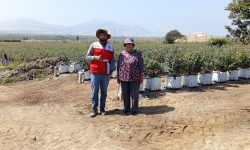 CHINECAS INICIA INSPECCIONES OCULARES Y LEVANTAMIENTO TOPOGRÁFICO EN EL HERMOSO VALLE DE NEPEÑA