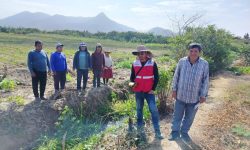 INSPECCIONES OCULARES Y TRABAJOS DE LEVANTAMIENTO TOPOGRÁFICO GEORREFERENCIADO EN LA ASOCIACIÓN CAMPESINOS POSESIONARIOS LOS ÁNGELES EN PAMPA LA CARBONERA