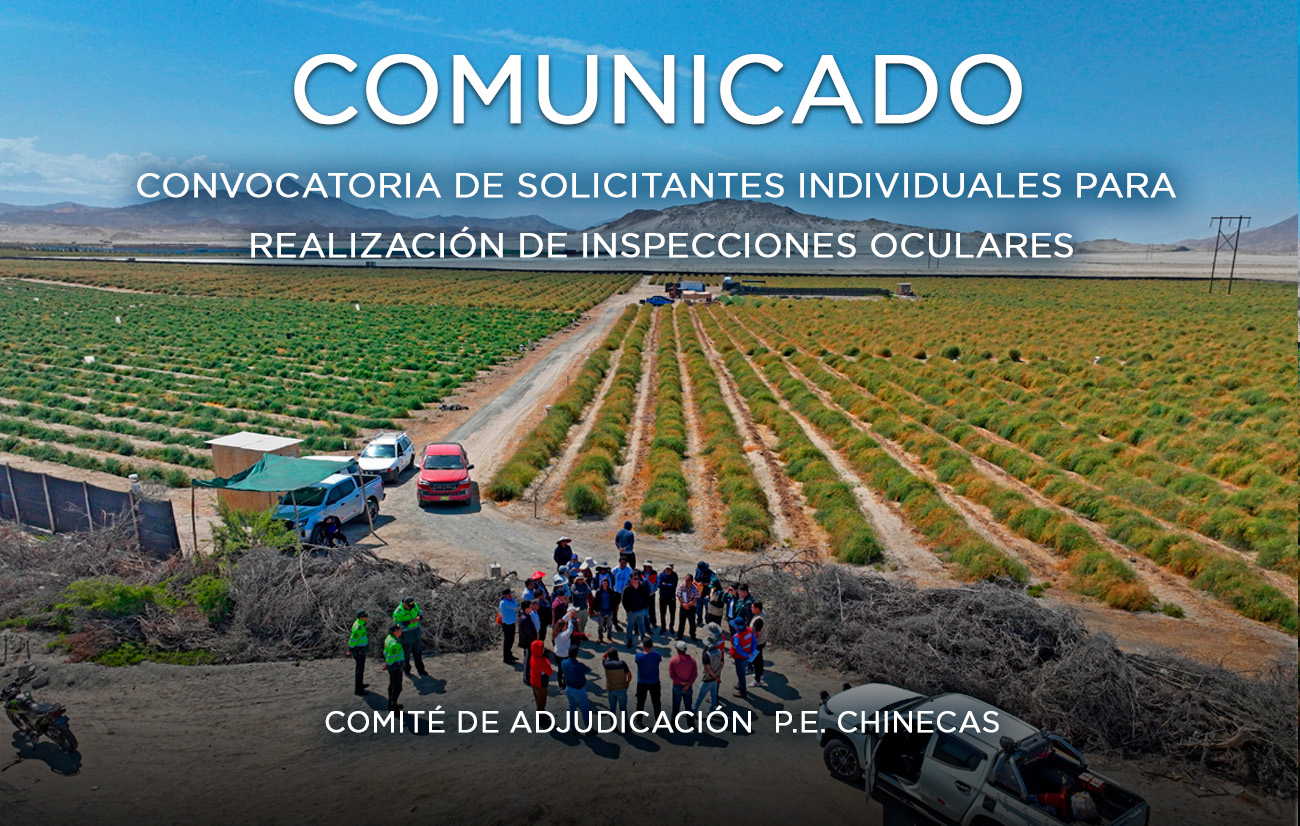 Sin título-1