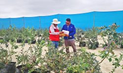 IMÁGENES DE NUESTRAS INSPECCIONES OCULARES Y LEVANTAMIENTO TOPOGRÁFICO GEORREFERENCIADO EN LA CARBONERA, CASMA Y NEPEÑA