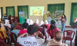CHINECAS FORTALECE CAPACIDADES AGRÍCOLAS CON EXITOSO TALLER SOBRE MANEJO AGRONÓMICO DEL CULTIVO DE PALTO EN CASCAJAL DERECHO