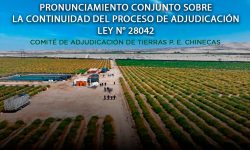 PRONUNCIAMIENTO CONJUNTO SOBRE LA CONTINUIDAD DEL PROCESO DE ADJUDICACIÓN DE LA LEY N.°28042