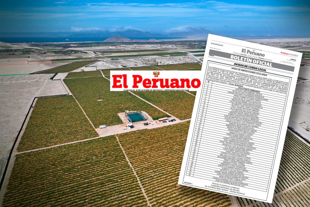 EL PERUANO PORTADA WORDPRES