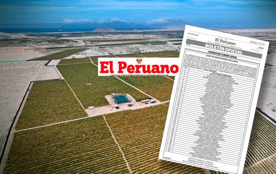 EL PERUANO PORTADA WORDPRES