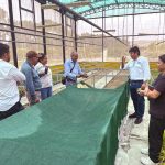 CHINECAS PRODUCIRÁ MÁS DE 35 MIL PLANTINES IN VITRO DE CAÑA DE AZÚCAR PARA LA EMPRESA AGROINDUSTRIAL POMALCA
