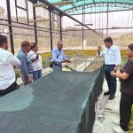 CHINECAS PRODUCIRÁ MÁS DE 35 MIL PLANTINES IN VITRO DE CAÑA DE AZÚCAR PARA LA EMPRESA AGROINDUSTRIAL POMALCA