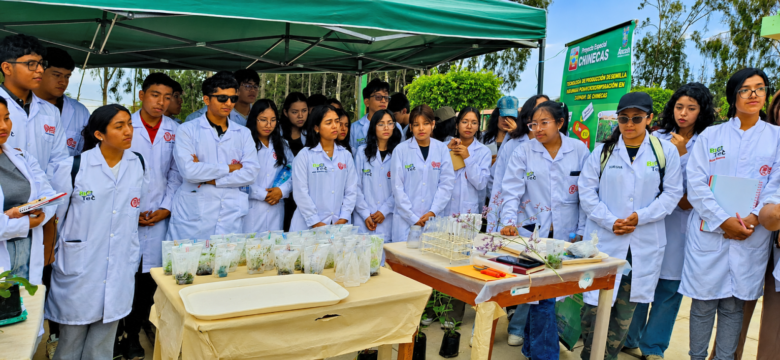 ChatGPT Image 10 jun 2026, 11_18_09